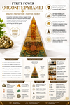 Money magnet jibu pyramid